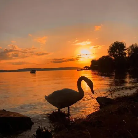 Bohner/wohnung Elisabeth 梅尔斯堡