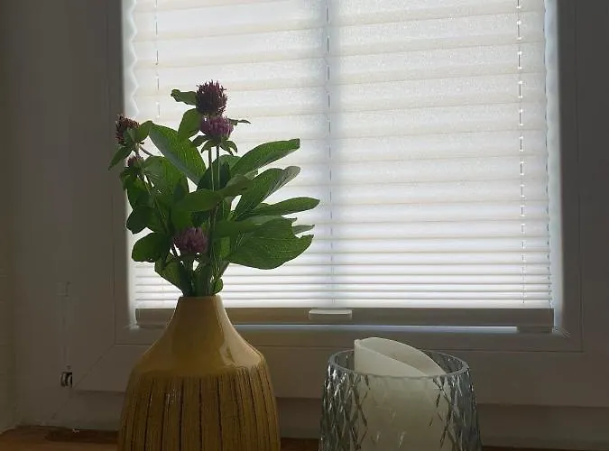 Bohner/wohnung Elisabeth Meersburg